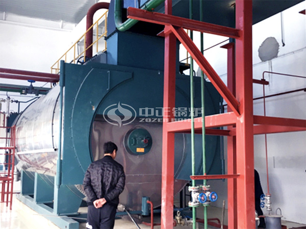 20噸WNS燃?xì)庹羝仩t項(xiàng)目