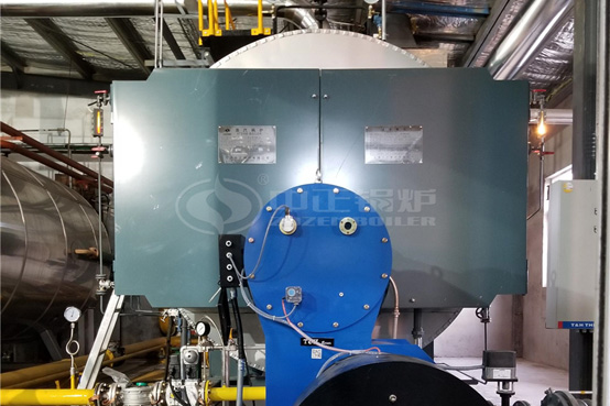 五洲豐農(nóng)業(yè)10噸WNS系列冷凝式天然氣蒸汽鍋爐項目