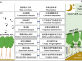 渦度相關通量介紹與數據處理方法